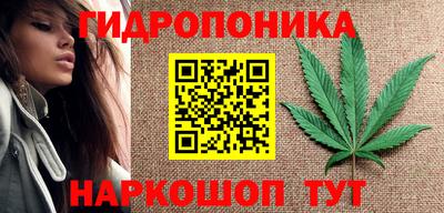 крисы Чебаркуль