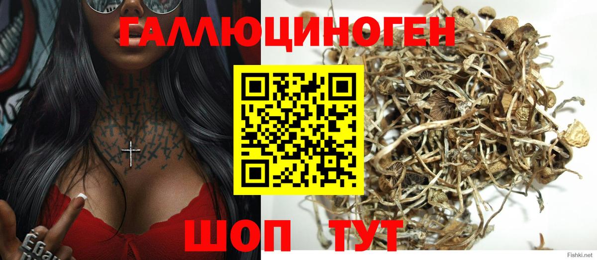 Псилоцибиновые грибы мухоморы  Вход с VPN  продажа наркотиков  Острогожск 